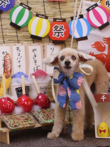 20240707桃果ちゃん